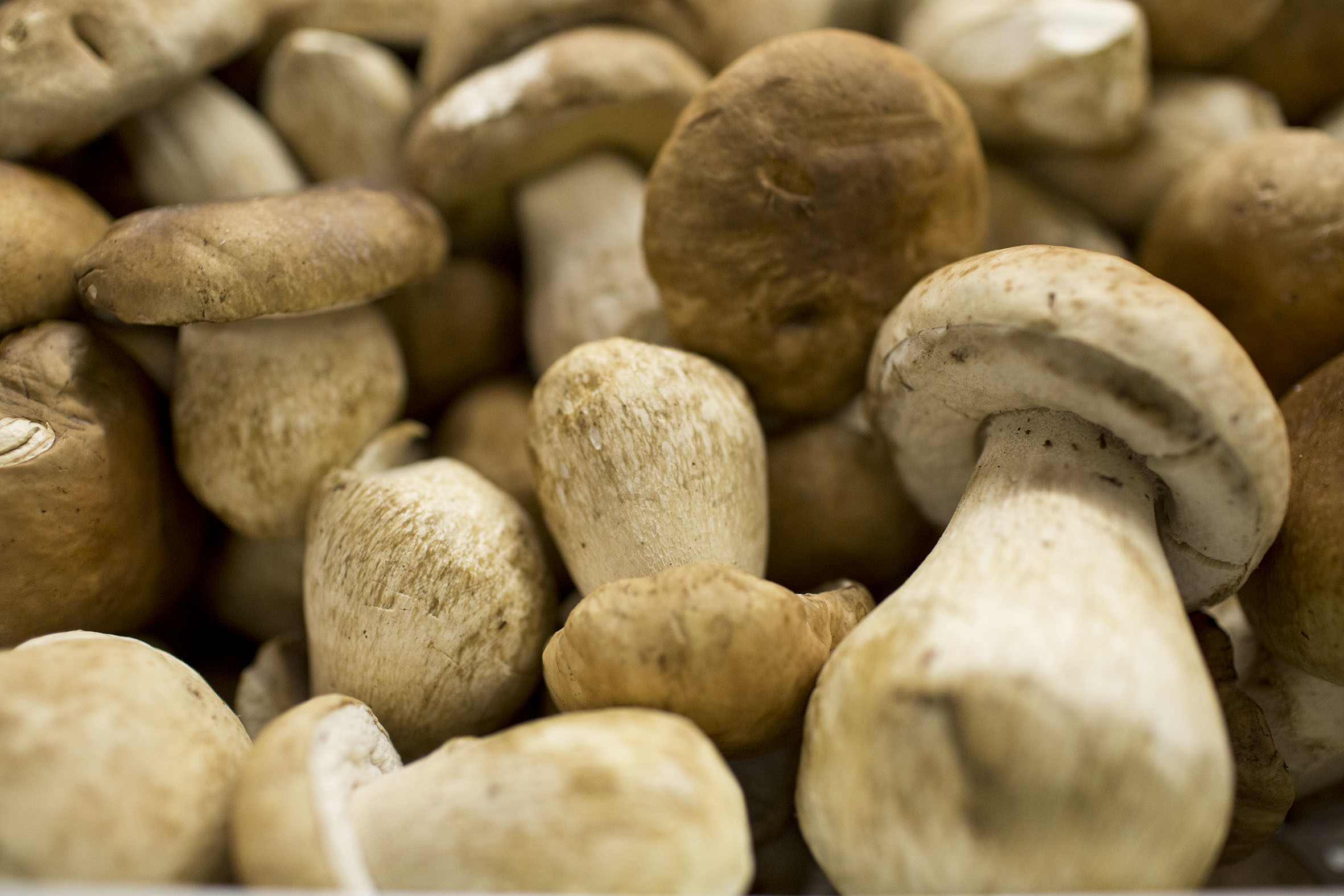 Fruit And Vegetable Market Report April 2014 Ceps