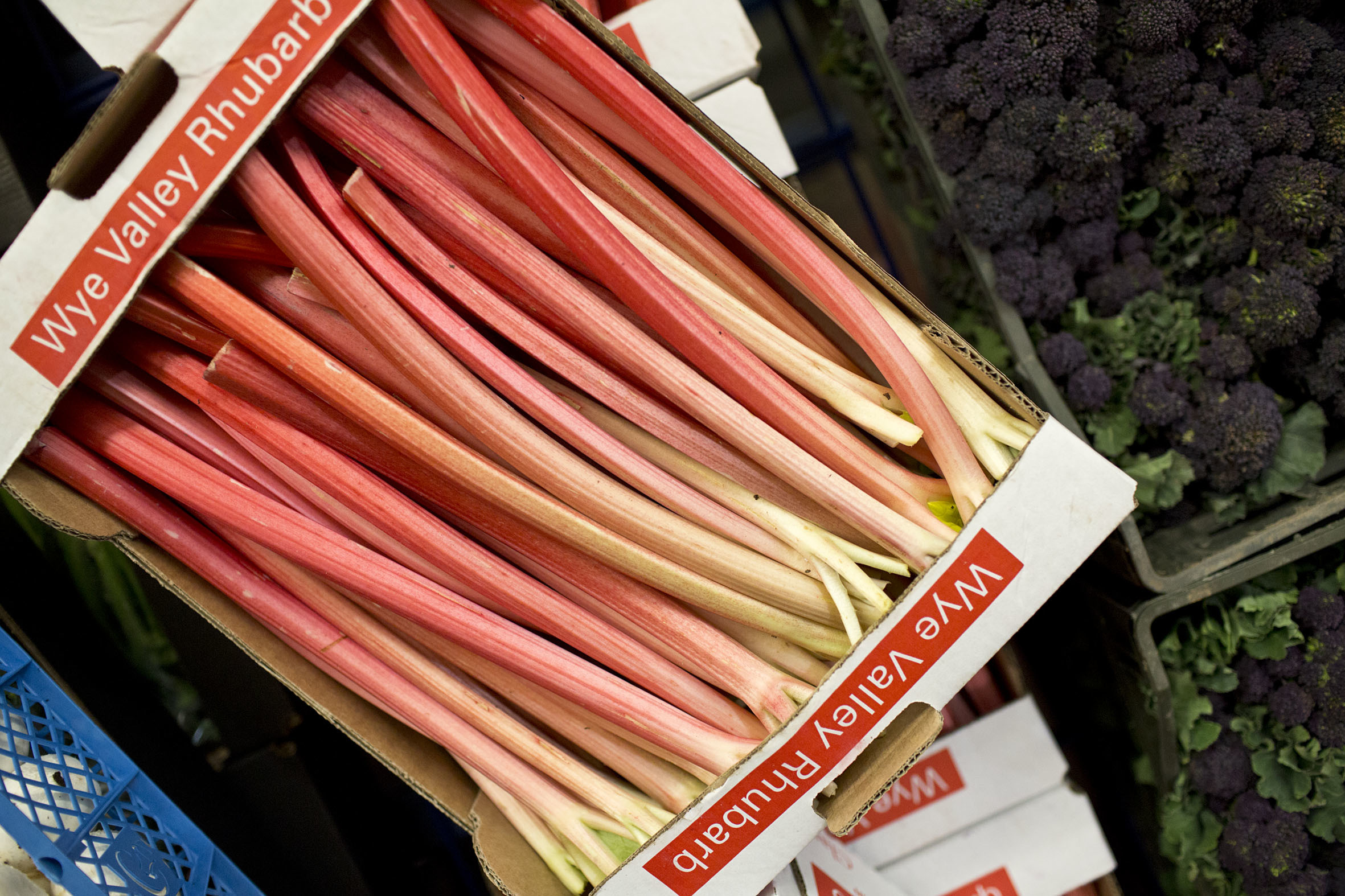 Fruit And Vegetable Market Report April 2014 Early Rhubarb
