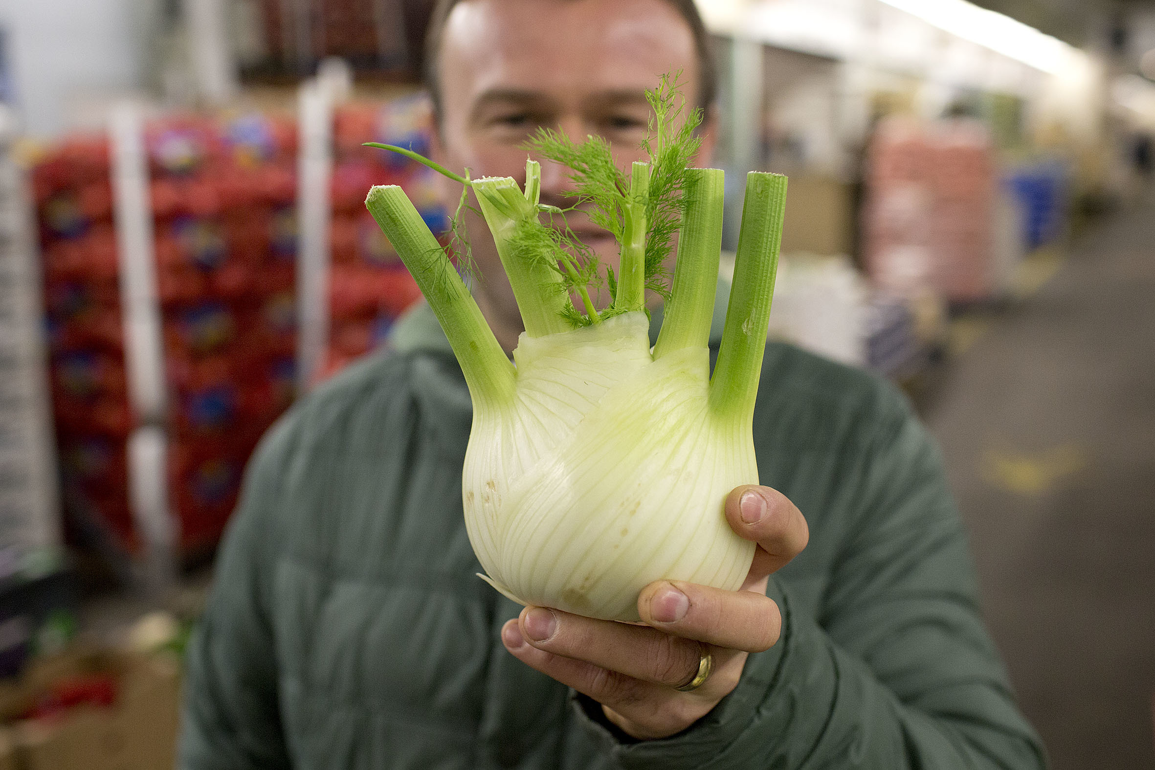 Fruit And Vegetable Market Report April 2014 Fennel