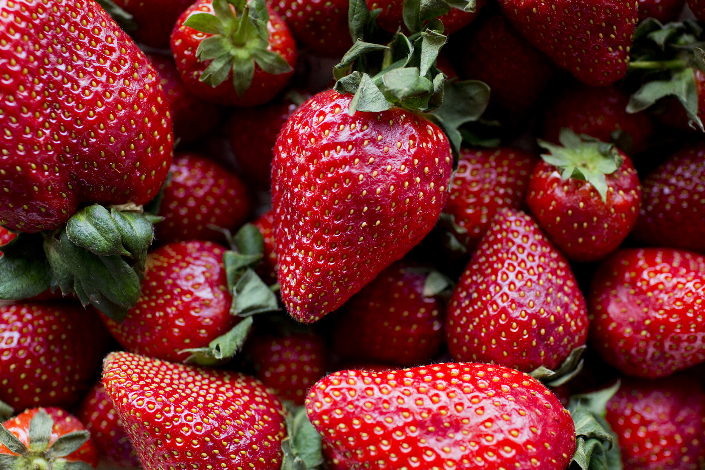 Fruit And Vegetable Market Report April 2014 Strawberry