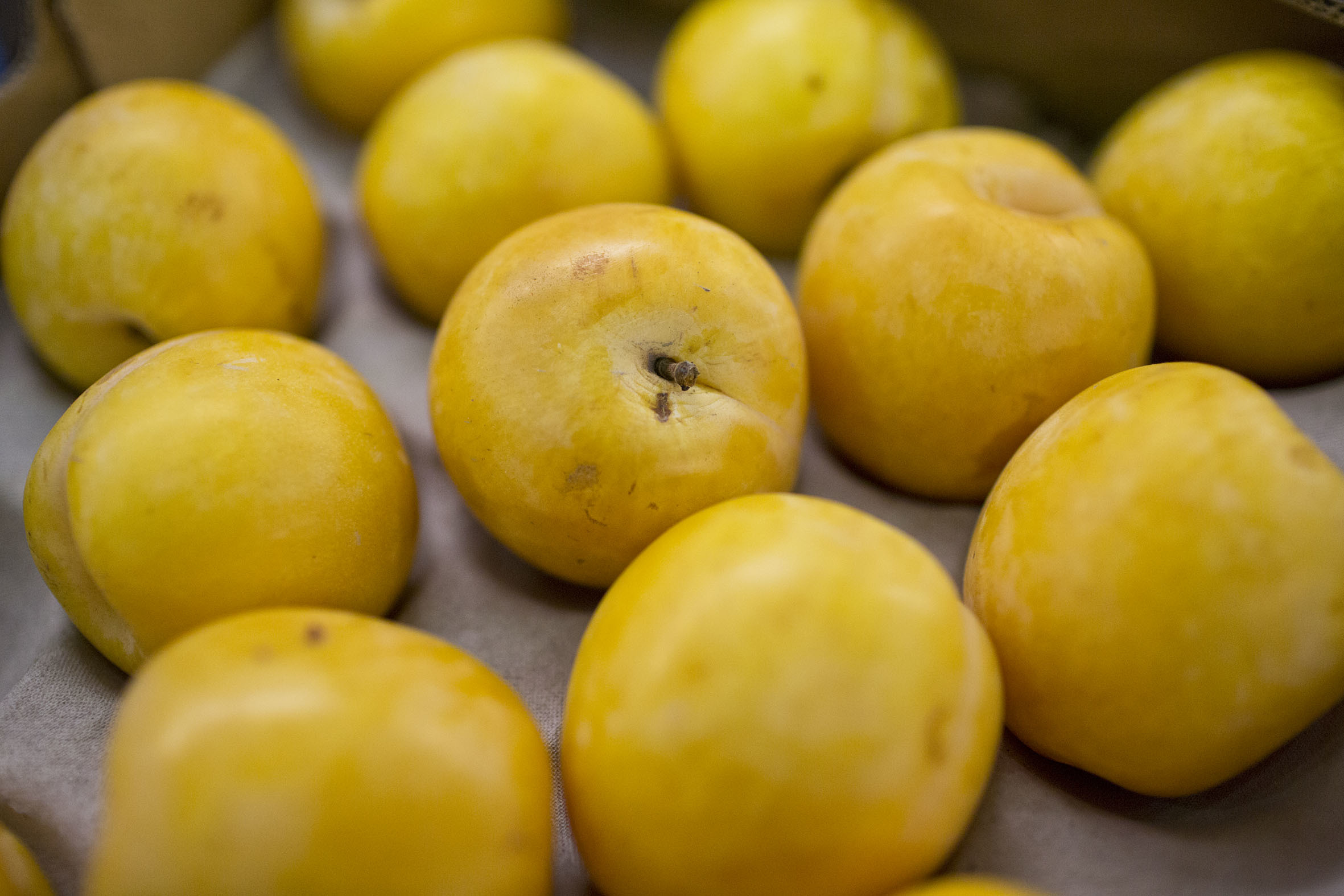 Fruit And Vegetable Market Report April 2014 Yellow Plum