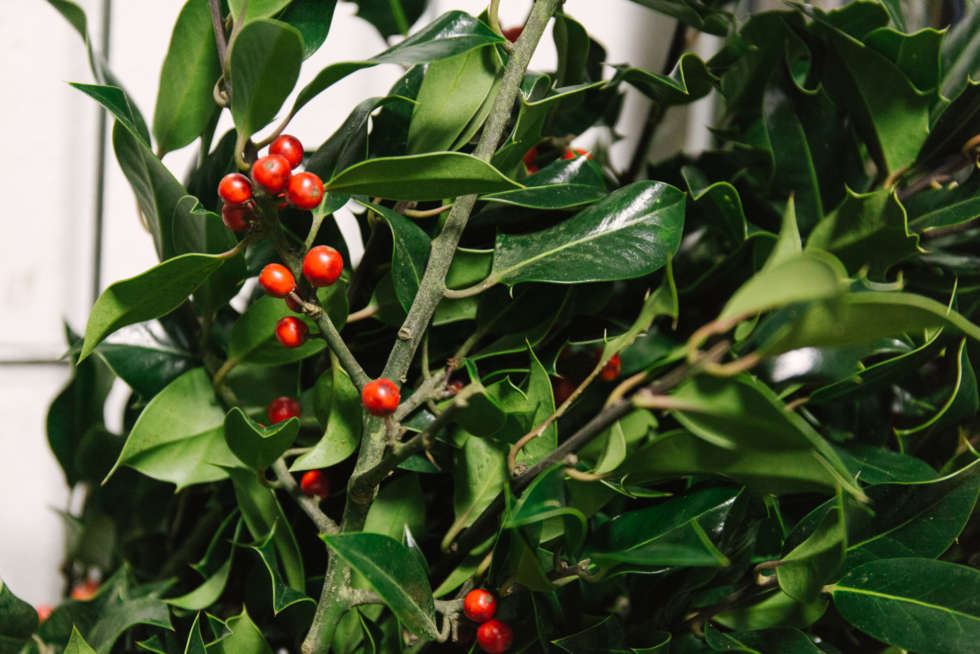 Christmas and New Year opening hours