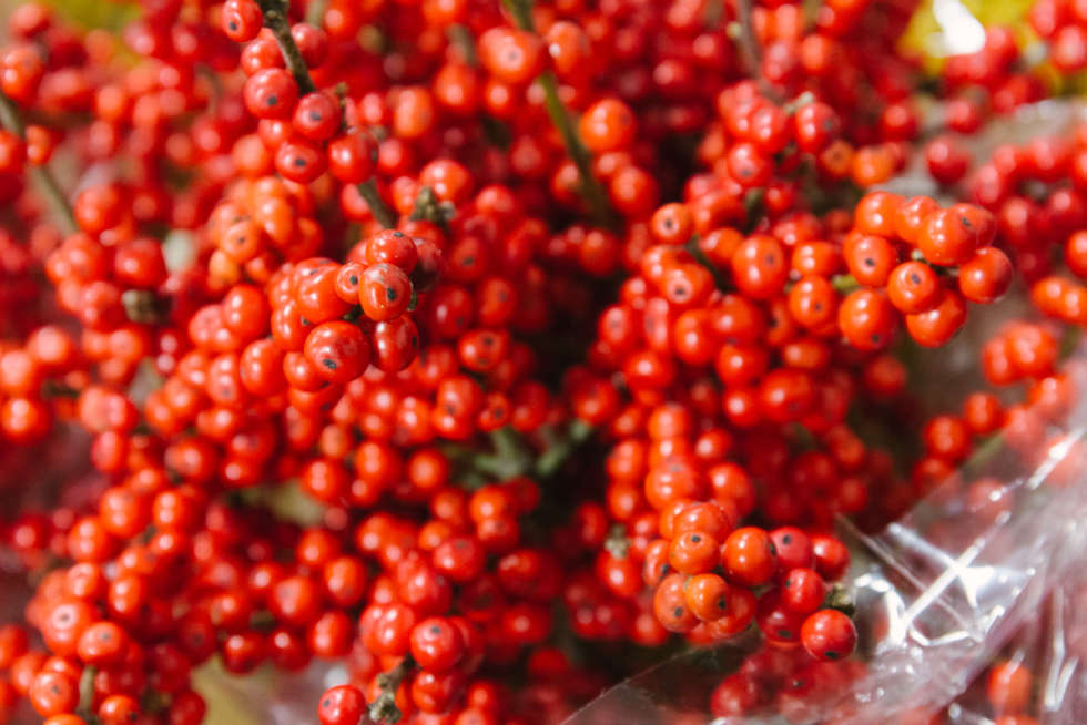 A florist’s guide to Christmas at the Flower Market