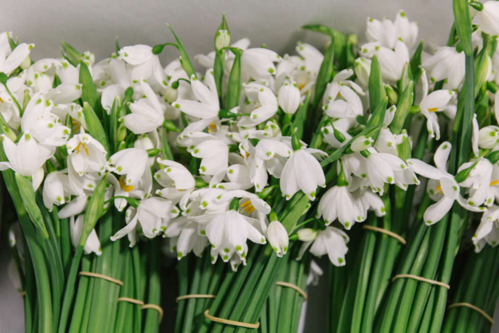New Covent Garden Market
