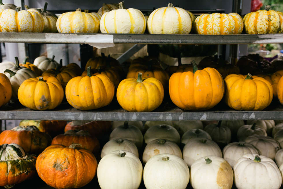 In season at the Flower Market this October