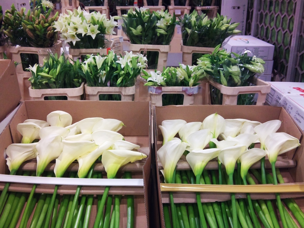 arums-and-lilies-2.jpg?mtime=20171003165718#asset:12788