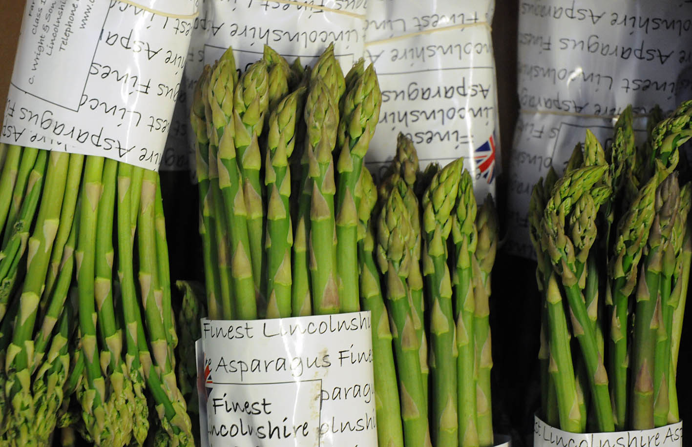 asparagus1.jpg?mtime=20170922143746#asset:11529