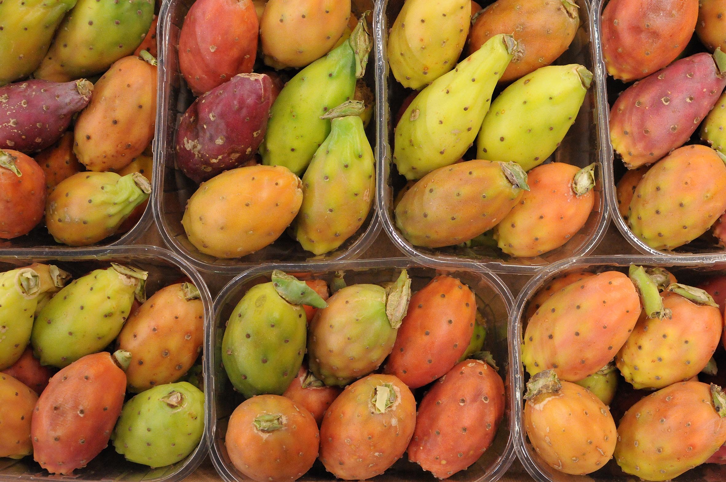 cactus_pears.jpg?mtime=20170922120511#asset:11411