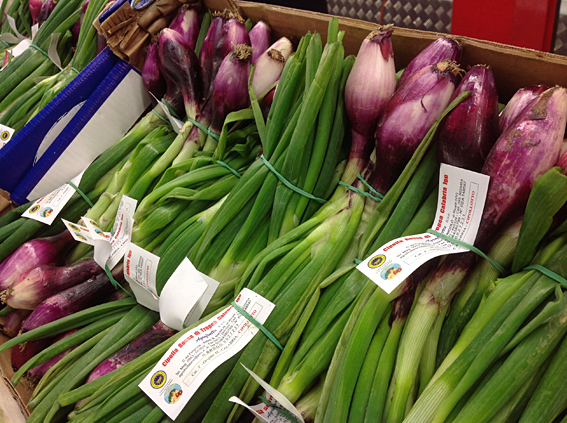 cipolotto_onions.jpg?mtime=20170922114909#asset:11381