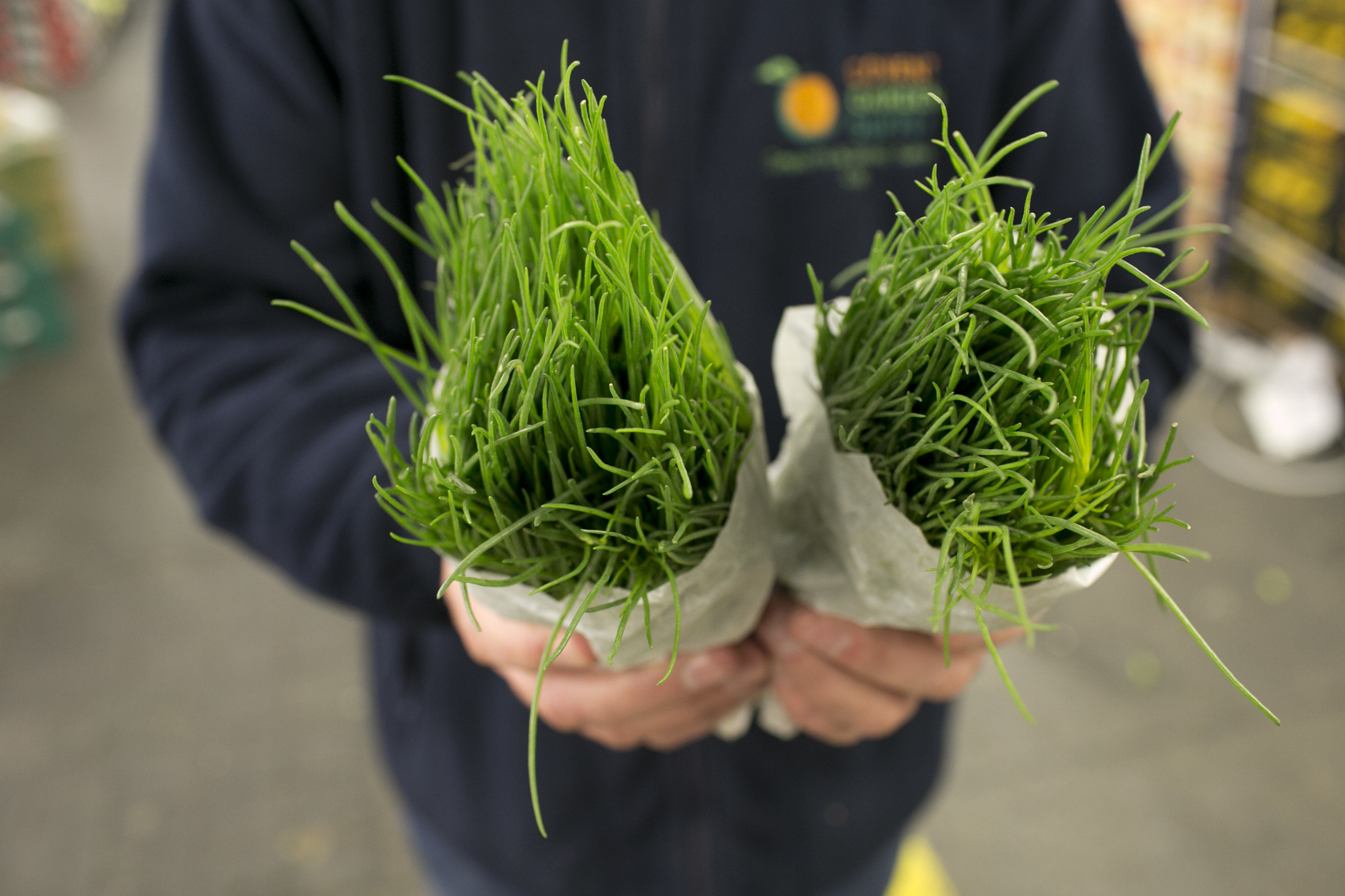 fruit-and-vegetable-market-report-february-2014-agretti.jpg?mtime=20170922113354#asset:11339