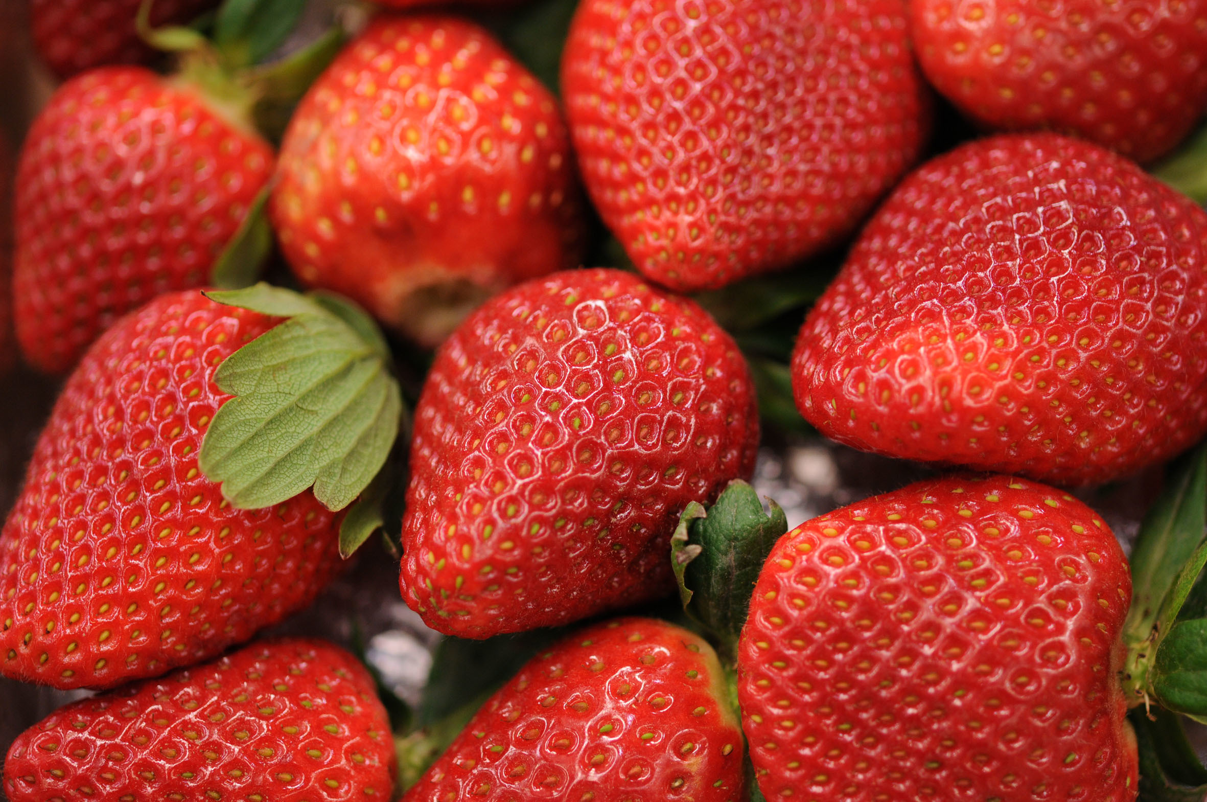 fruit-and-vegetable-market-report-february-2014-strawberries.jpg?mtime=20170922113431#asset:11355