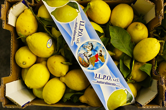 fruit-and-vegetable-market-report-january-2014-lemons.jpg?mtime=20170922114116#asset:11370