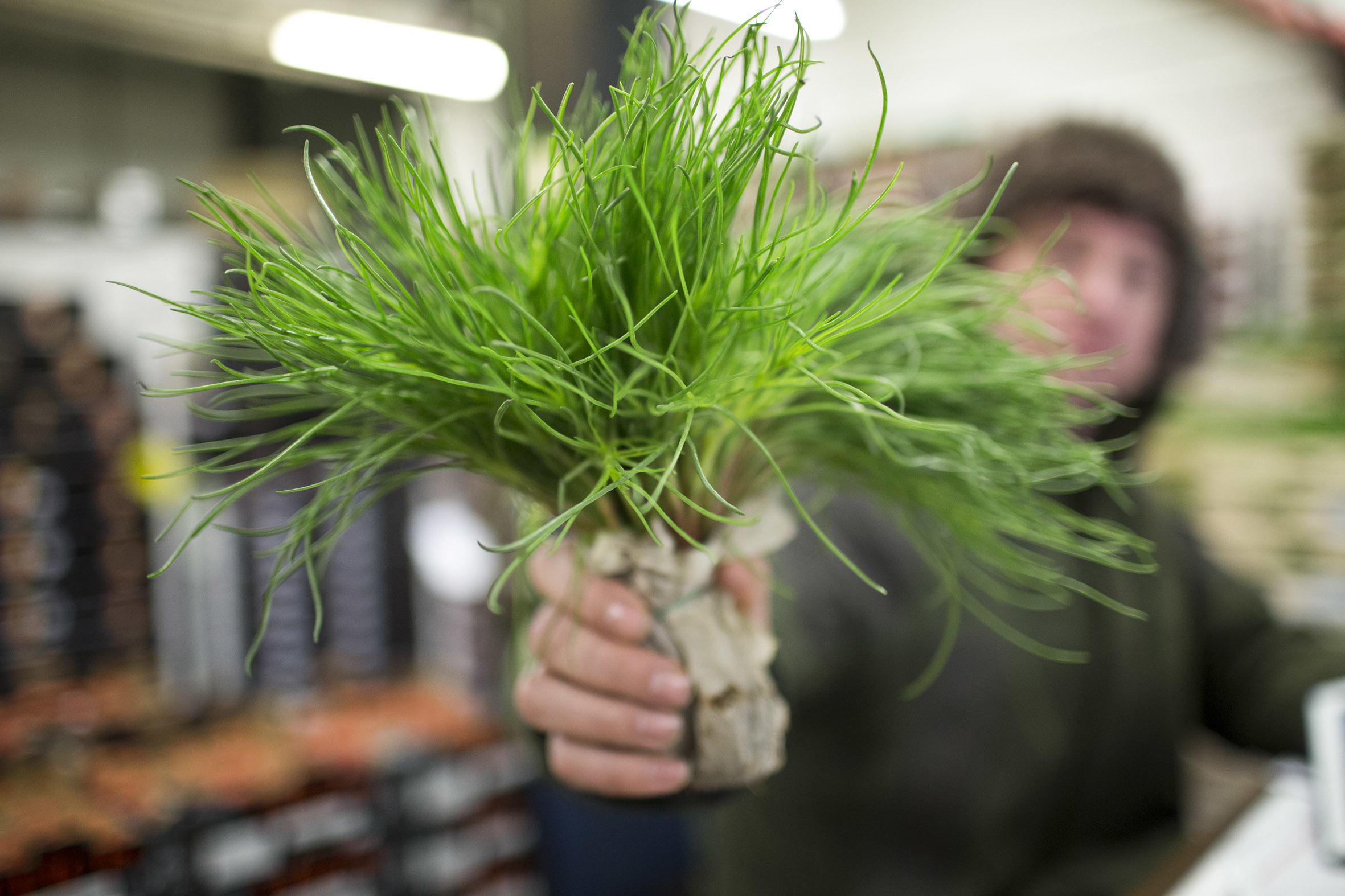 fruit-and-vegetable-market-report-march-2014-agretti.jpg?mtime=20170922112620#asset:11321