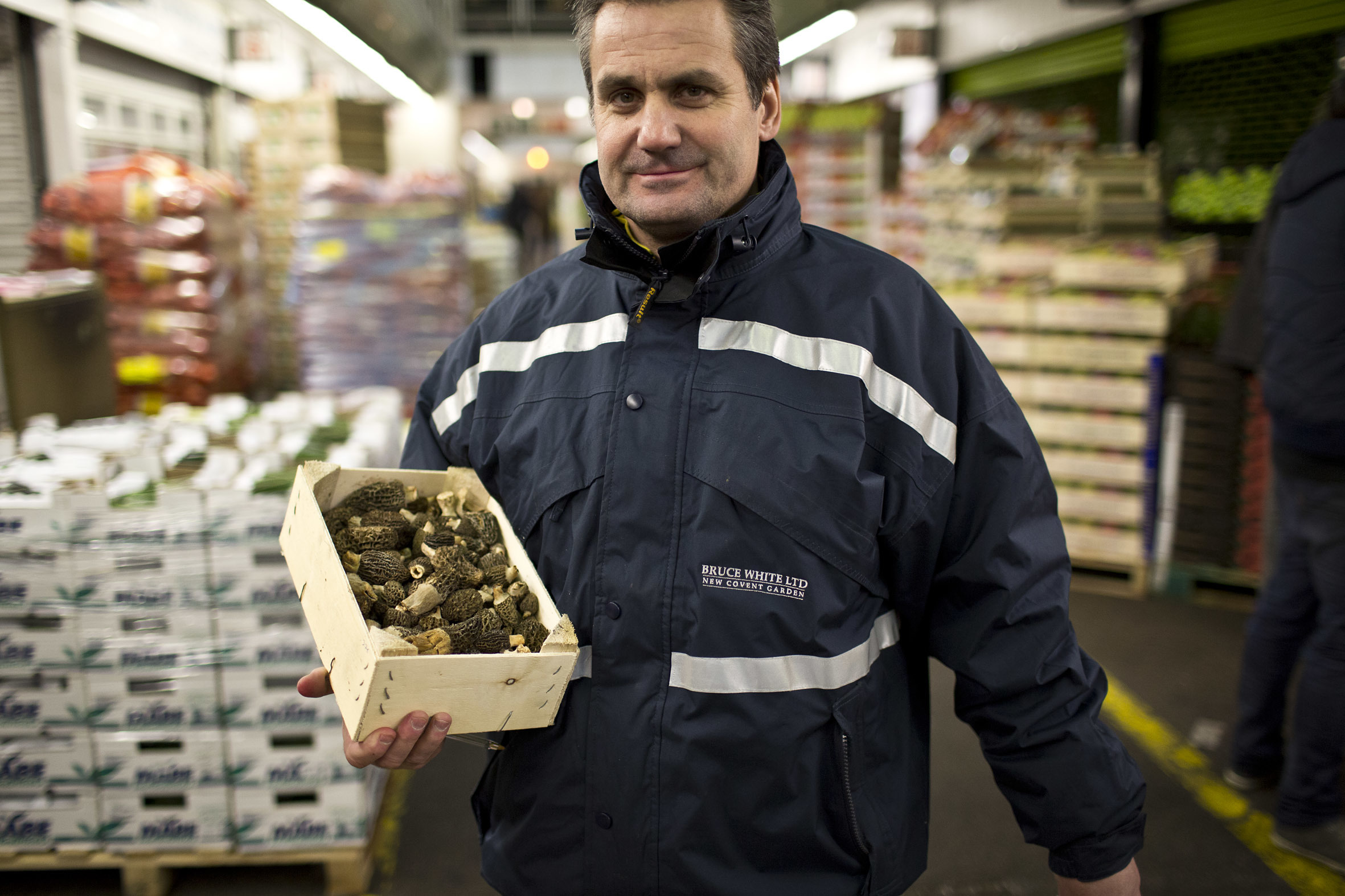 fruit-and-vegetable-market-report-march-2014-bruce-white-morel-mushrooms.jpg?mtime=20170922112624#asset:11323