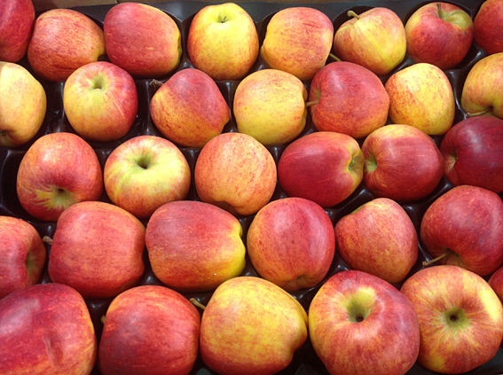 gala_apples.jpg?mtime=20170922114912#asset:11384