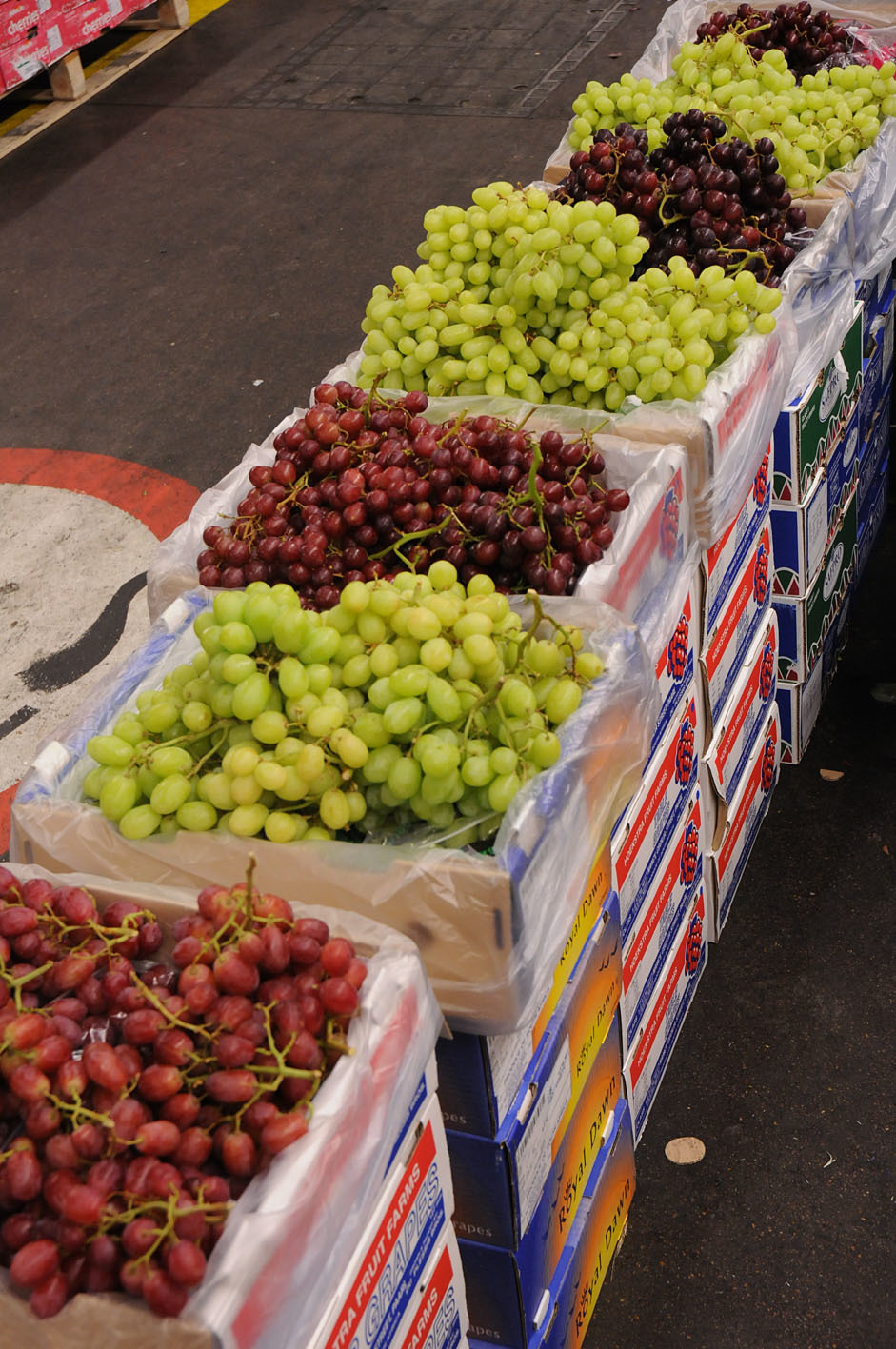 grape-selection.jpg?mtime=20170922144310#asset:11546