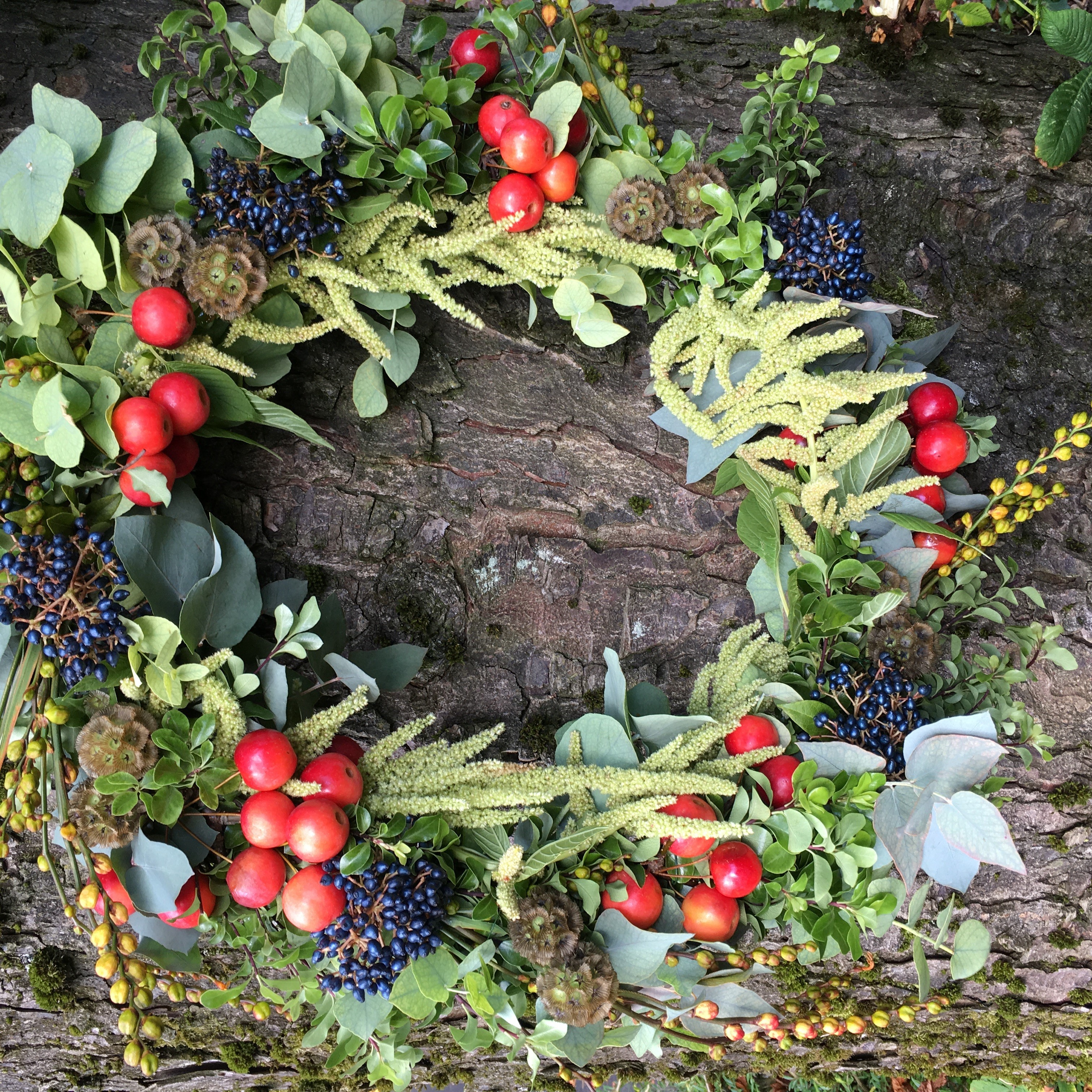 A florist s guide to rose hips berries and A florist s guide to rose hips berries and