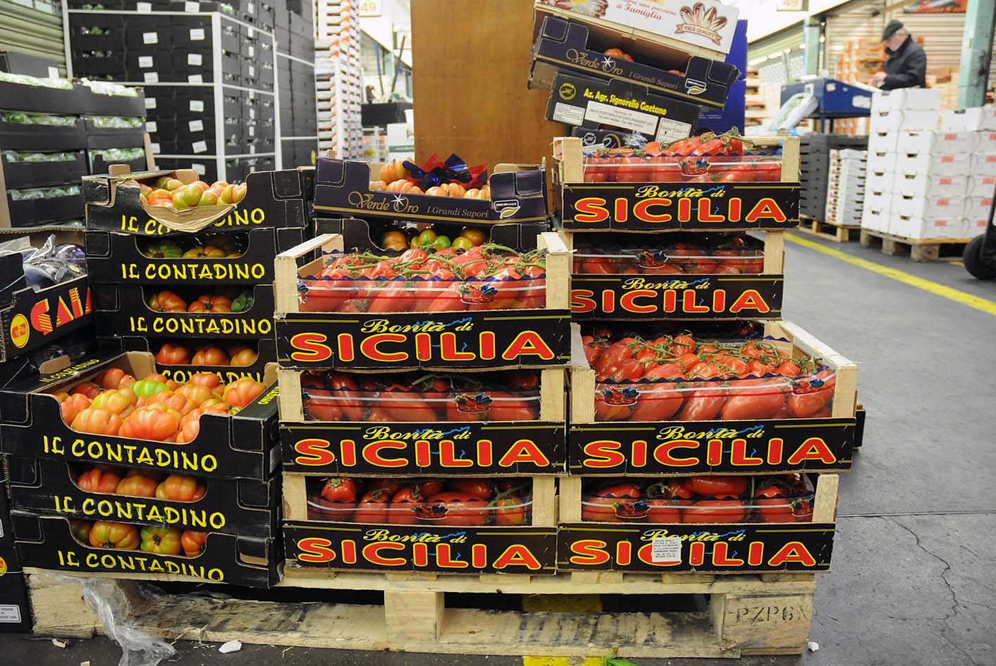 pallet-of-sicilian-tomatoes2.jpg?mtime=20170922143751#asset:11536