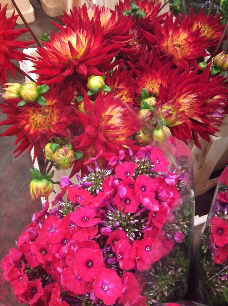 phlox-and-dahlia.jpg?mtime=20171003164324#asset:12751