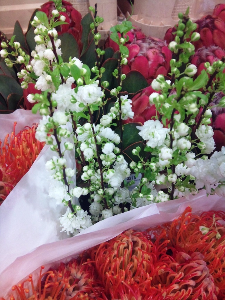 prunus.jpg?mtime=20171003153409#asset:12586