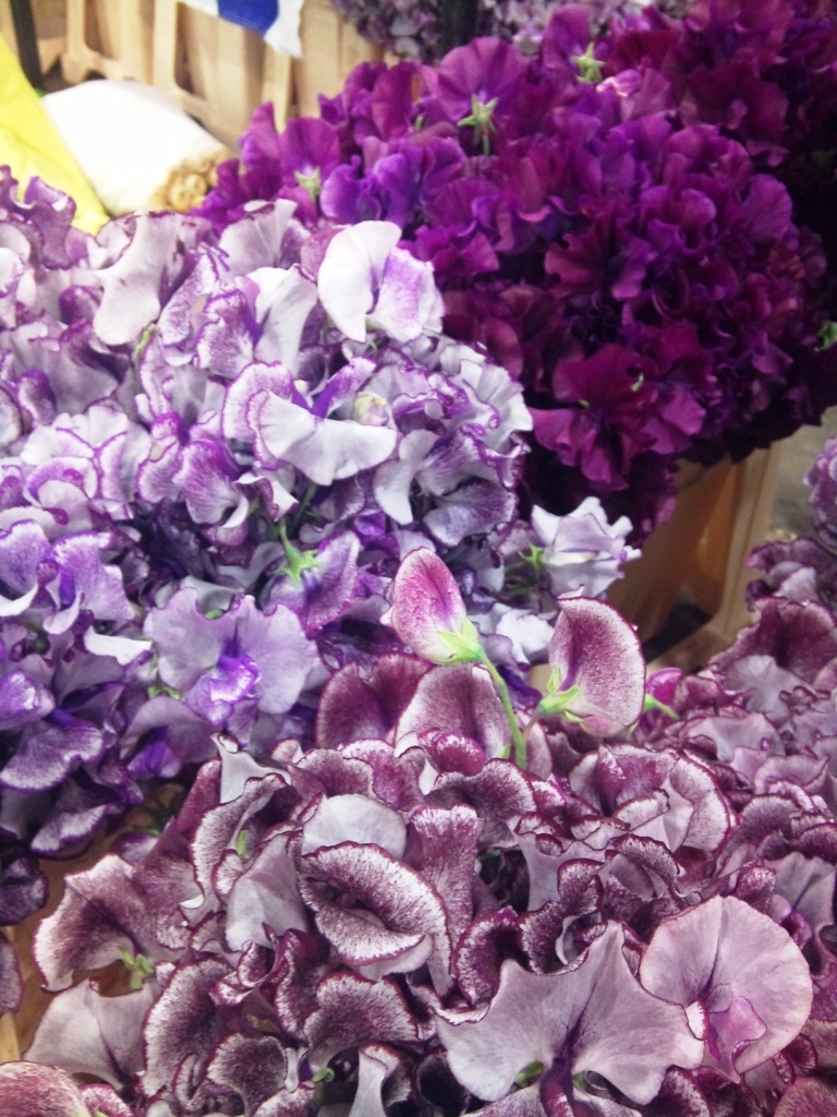 purple-sweet-peas.jpg?mtime=20171003164226#asset:12747