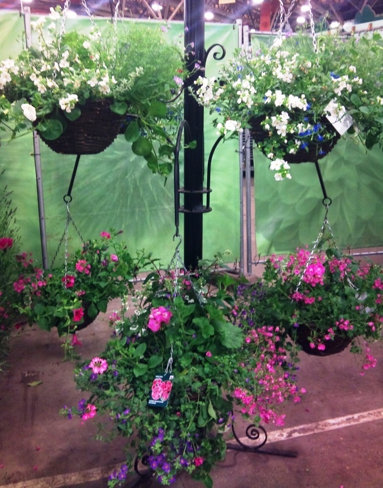 qualitys-hanging-baskets.jpg?mtime=20171003164527#asset:12757