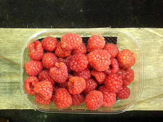 raspberries.jpg?mtime=20170922114916#asset:11388