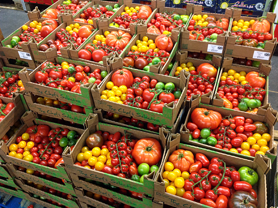 tomatoes.jpg?mtime=20170922114919#asset:11391