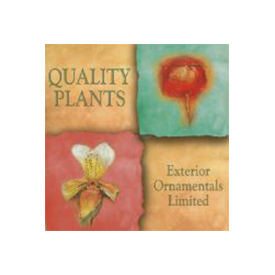 Quality Plants Exterior Ornamentals Ltd