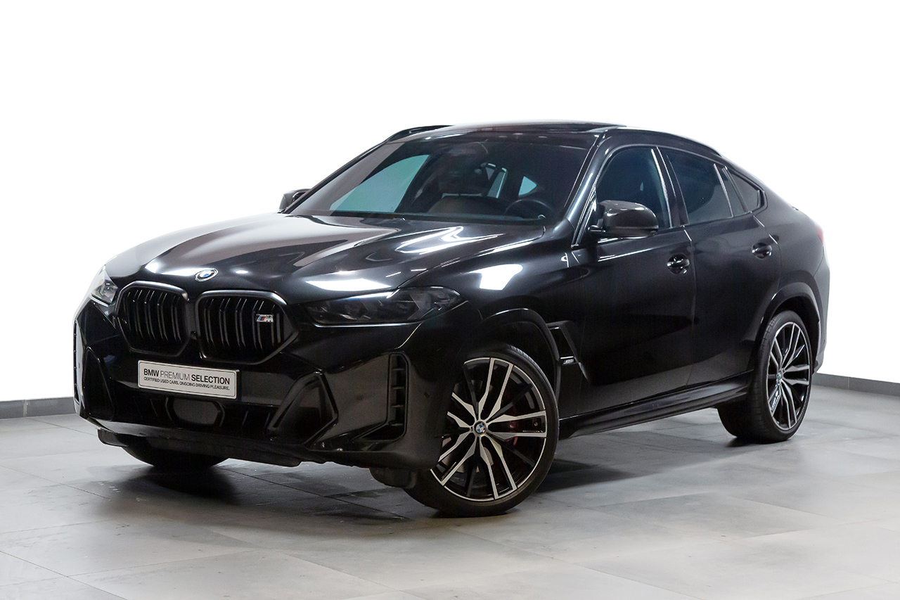 BMW X6 1