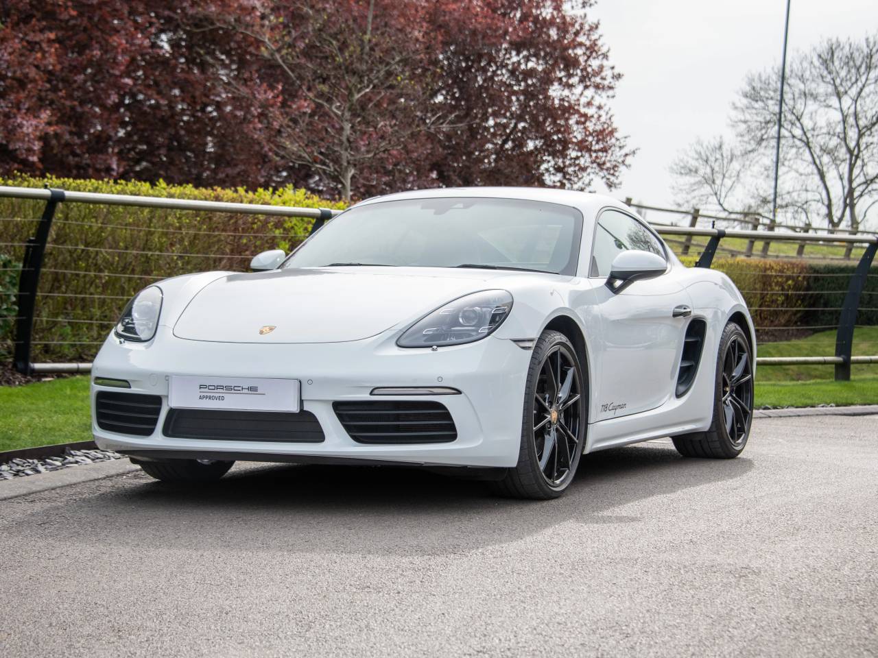 718 (982) CAYMAN PDK (45) image 63