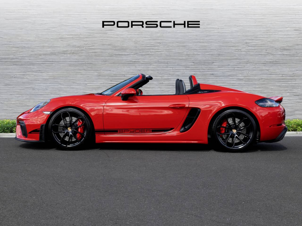 718 (982) SPYDER (6) image 13