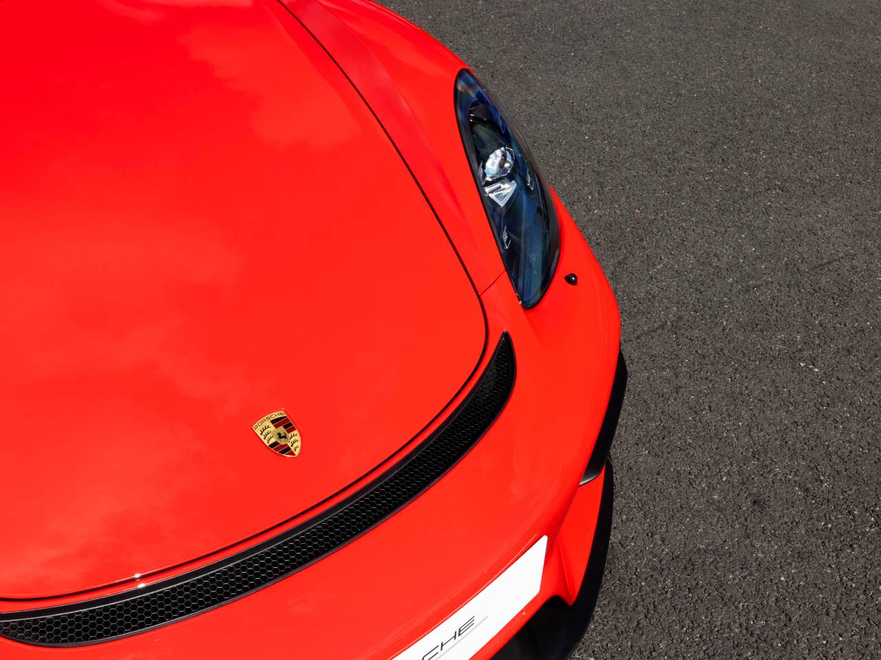 718 (982) SPYDER (6) image 30