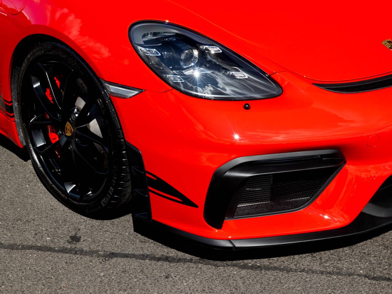 718 (982) SPYDER (6) image 39