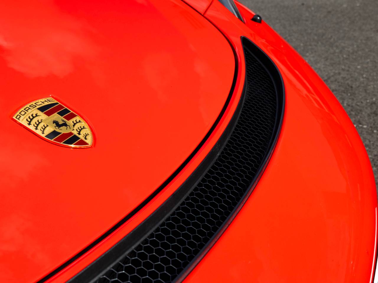 718 (982) SPYDER (6) image 19