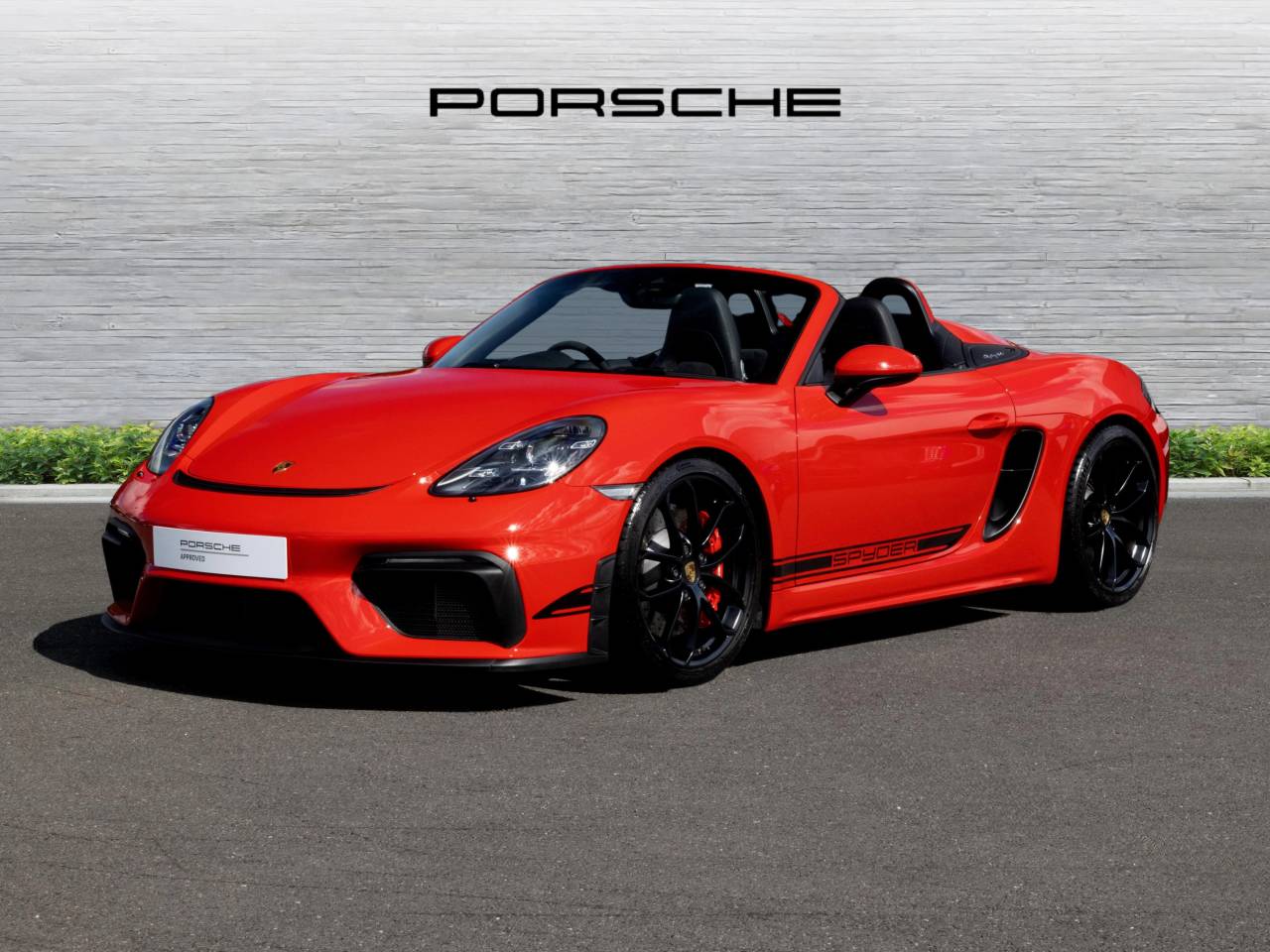 718 (982) SPYDER (6) image 14