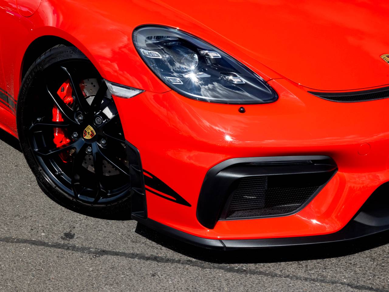 718 (982) SPYDER (6) image 41