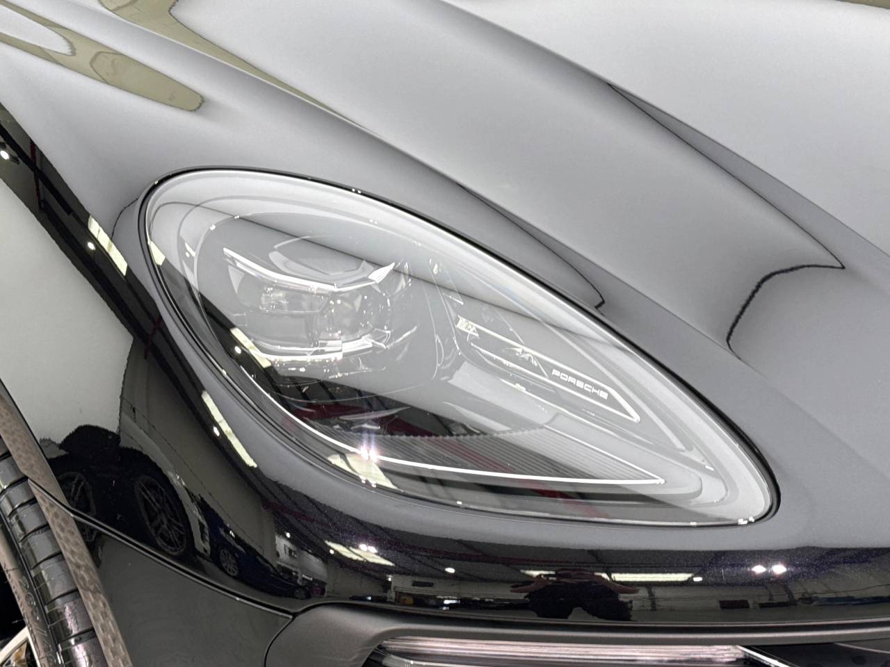 Macan PDK (170) image 32