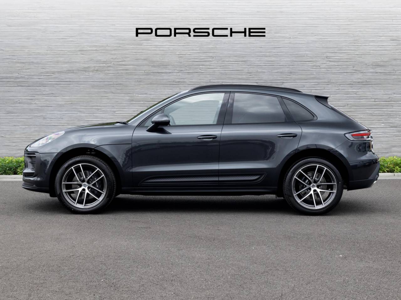 Macan (91) image 12