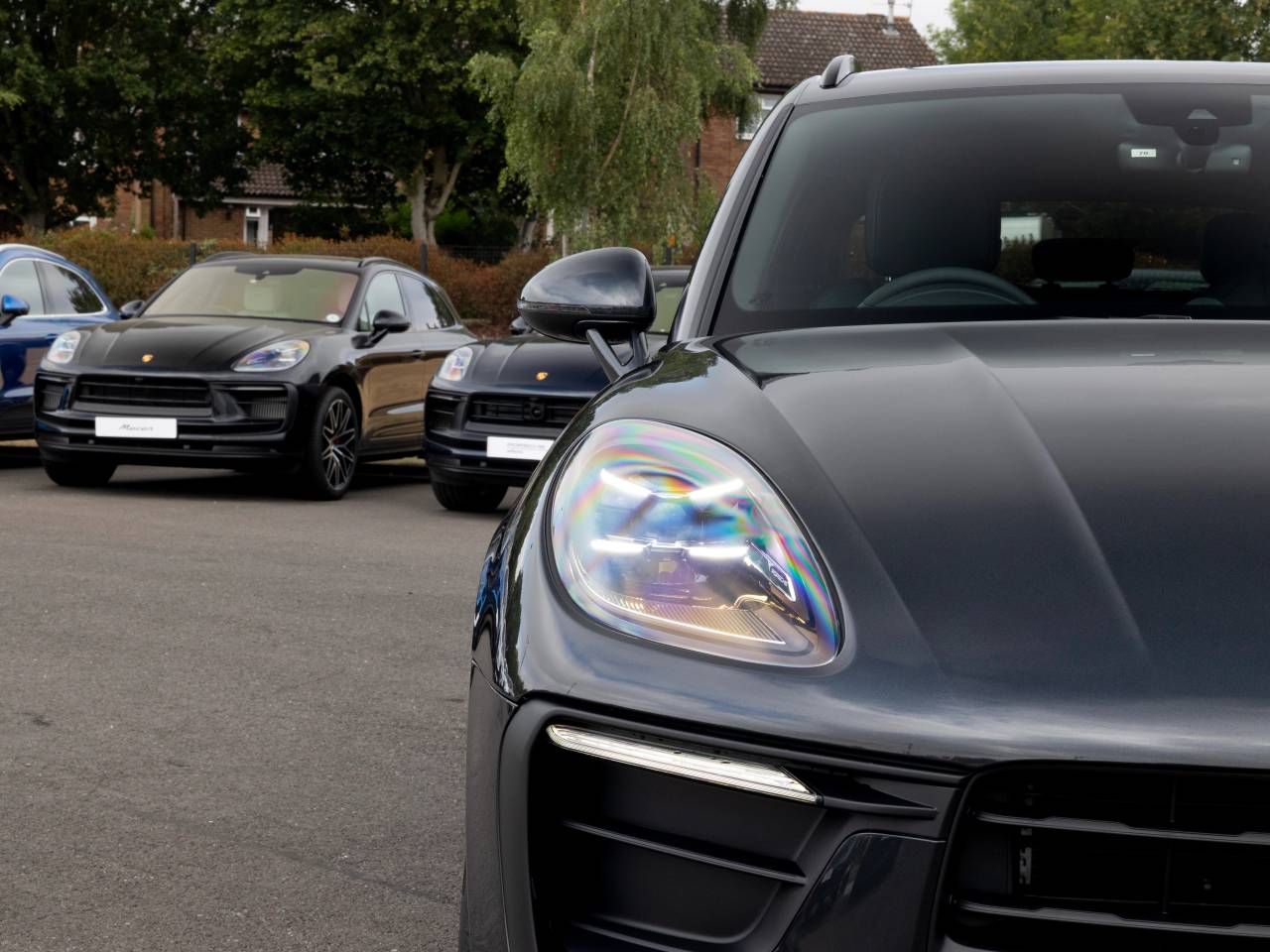 Macan (91) image 24