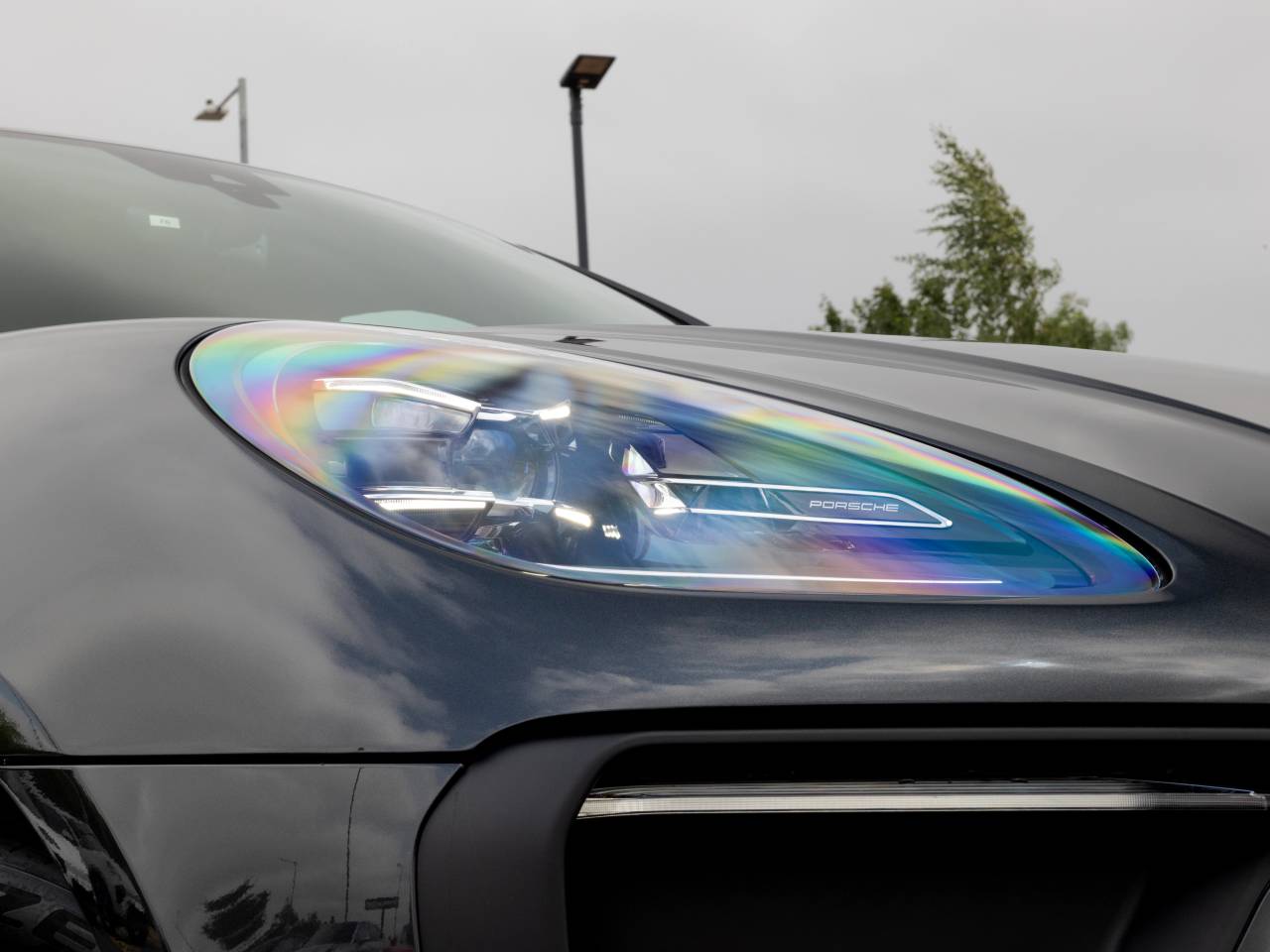 Macan (91) image 30