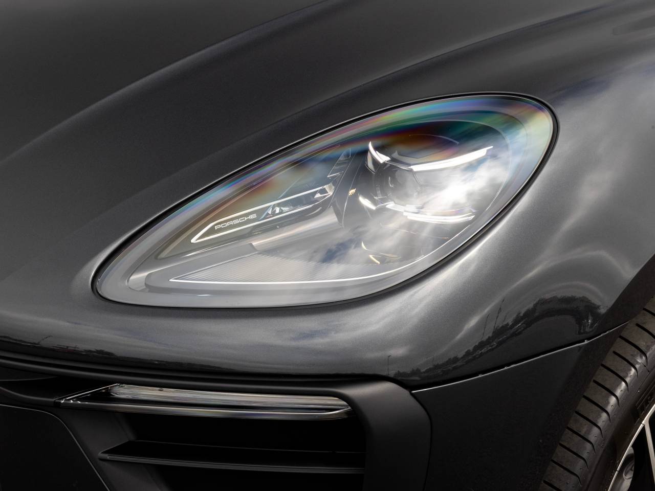 Macan (91) image 18