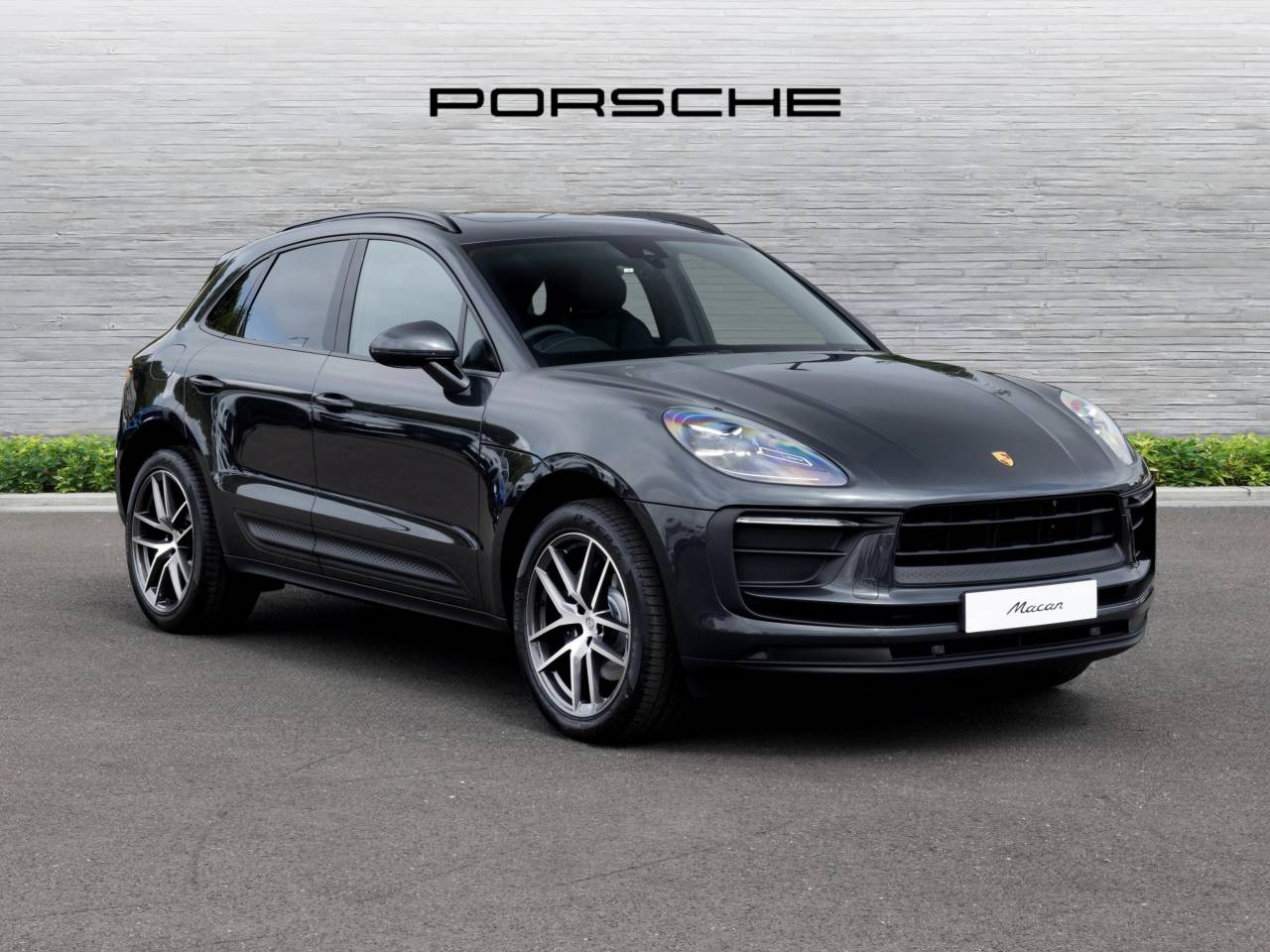Macan (91) image 15