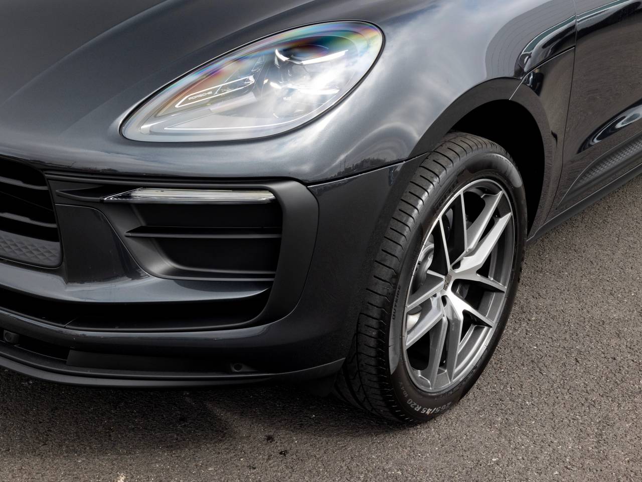 Macan (91) image 19