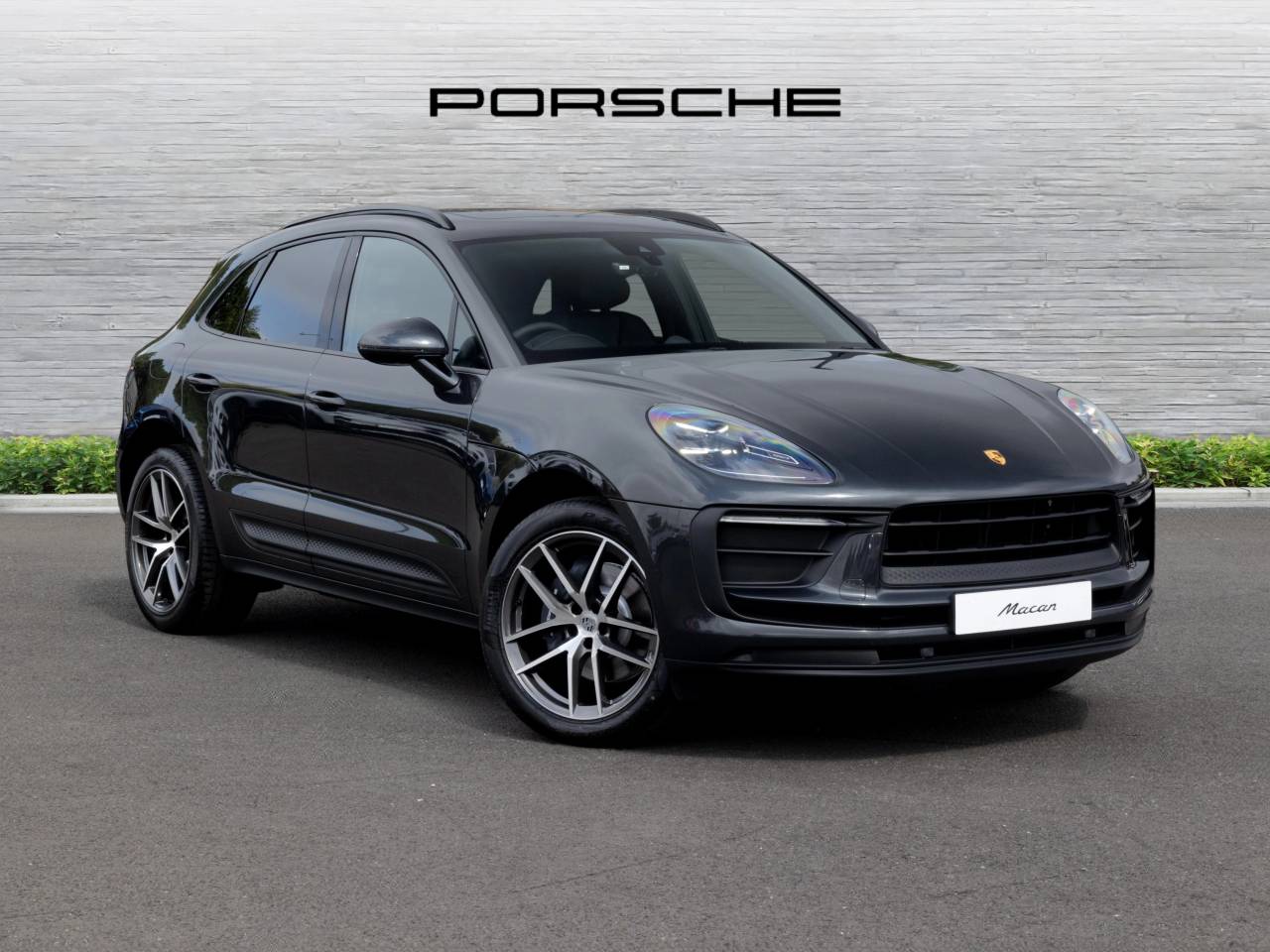 Macan 