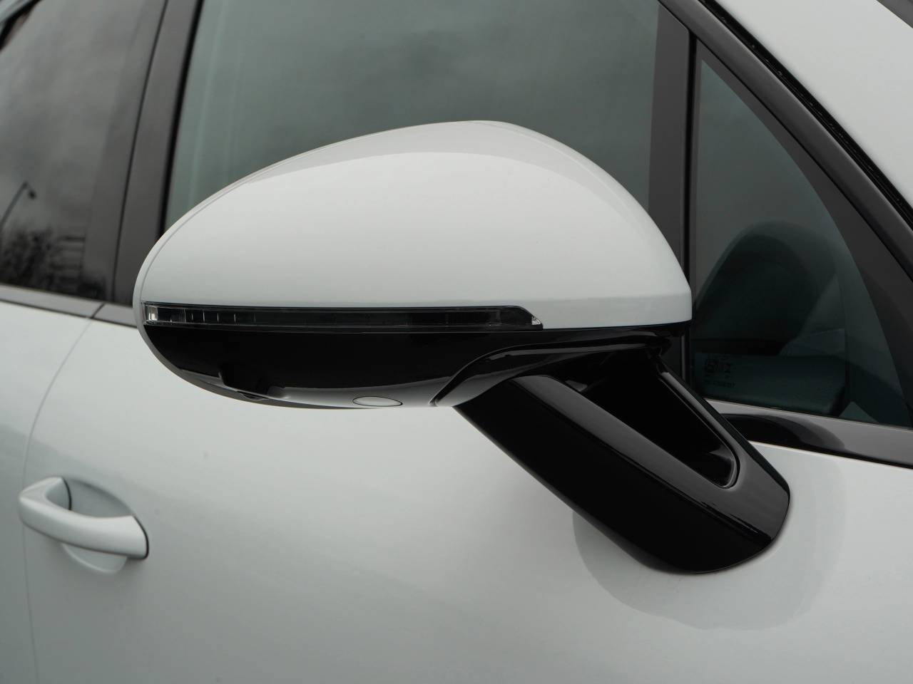 Macan (41) image 10