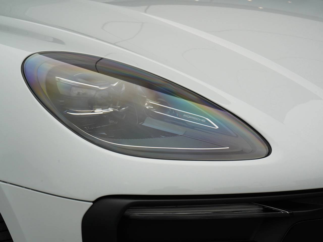 Macan (41) image 13