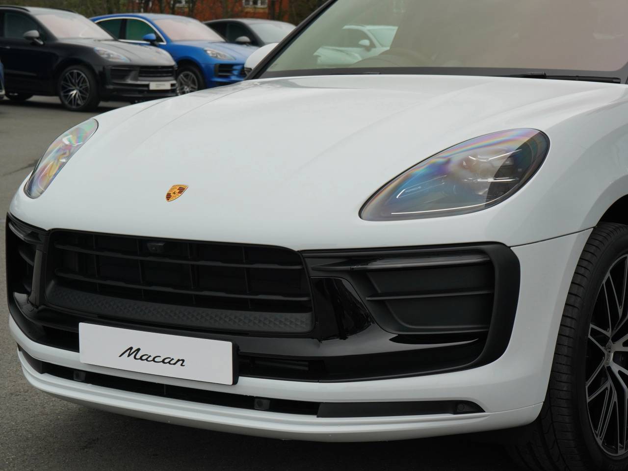 Macan (41) image 22