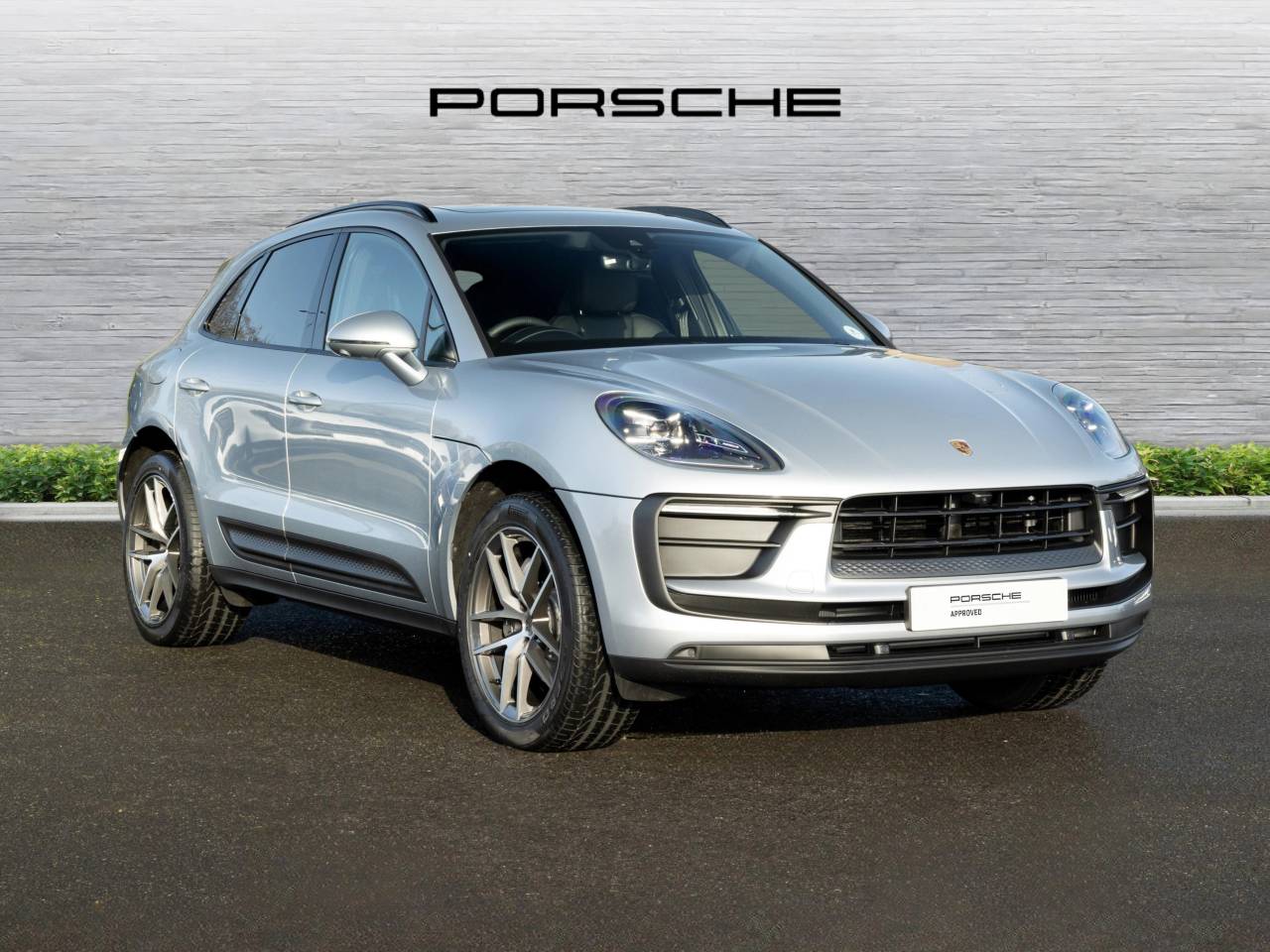 Macan PDK (61) image 15