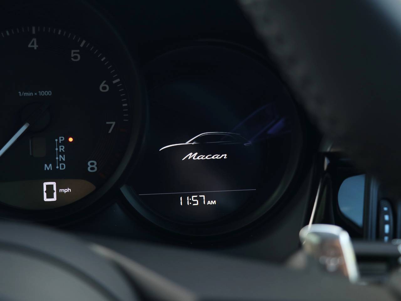 Macan (36) image 20